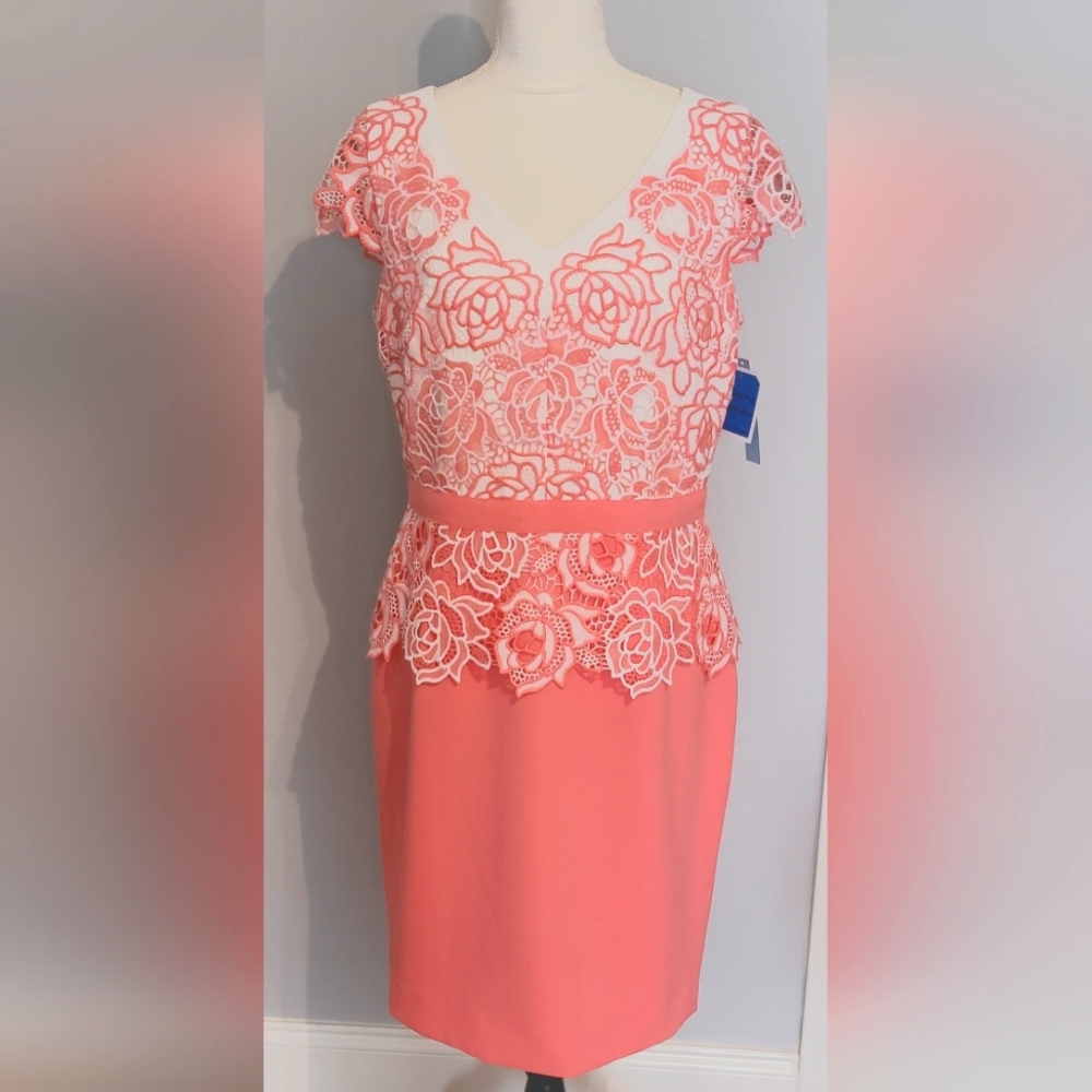 Antonio Melani Portia Dress Size 10
